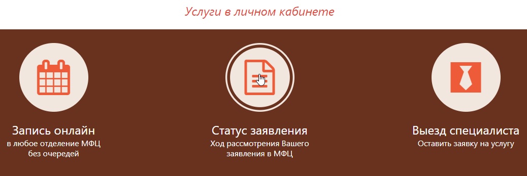 Проверить готовность документов на официальном сайте «Мои документы»